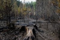 Letošní sucho způsobilo požáry na řadě míst.