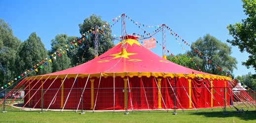 Cirkusy se zdarma otevřou zájemcům.