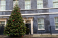 Velký vánoční strom zdobí také známou londýnskou ulici Downing Street.