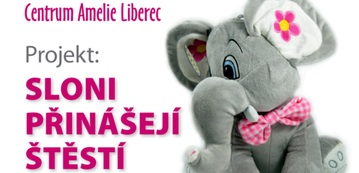 Prodej slonů pro štěstí pomůže pacientům s rakovinou v Liberci.