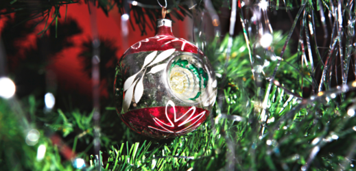 Vánoční stromeček (ilustrační foto).