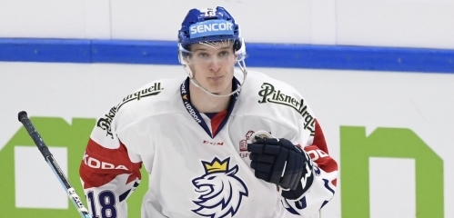 Dominik Kubalík v dresu české reprezentace.