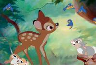 Disneyho pohádka Bambi.