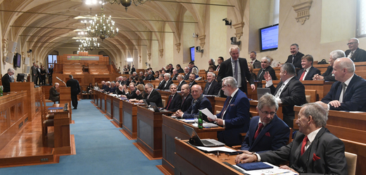 Zasedání Senátu, ilustrační foto.