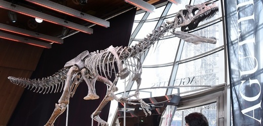 Kostra dinosaura dlouhá téměř devět metrů se v Paříži vydražila za 2,4 milionu dolarů (54 milionů korun).