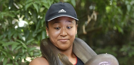 Japonská tenistka Naomi Ósakaová (foto z australské zoo).