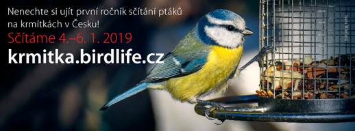 V Česku začíná vůbec první sčítání ptáků na krmítkách.