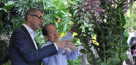 V singapurské botanické zahradě podle Babiše pojmenovali orchidej