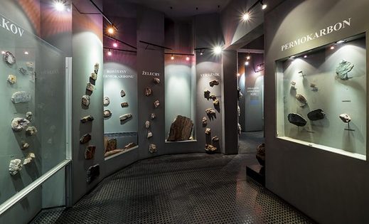 Geologická, paleontologická a mineralogická expozice je úvodním oddělením Muzea Českého ráje.