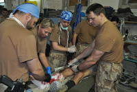 Český polní chirurgický tým, který působil v Iráku severozápadně od Mosulu.