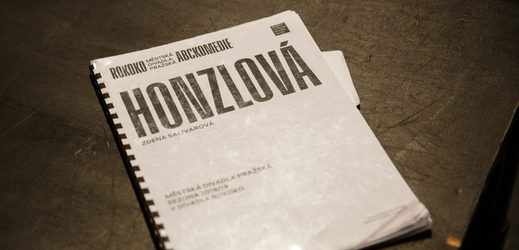 Divadlo Rokoko uvede adaptaci románu Honzlová.