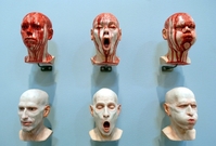 "Breathe, You Fucker" (Dejchej, ty sráči) je název díla Čechokanaďana Richarda Štipla, představitele tzv. hyperrealismu, které je od 9. února k vidění na výstavě pořádané u příležitosti mezinárodního veletrhu moderního umění ARCO 2005 v Madridu.