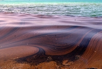 Olejová skvrna na moři (ilustrační foto).