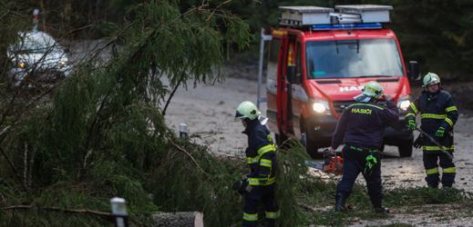 Jihočeští hasiči odklízeli 10. března 2019 popadané stromy ze silnice poblíž Volar.