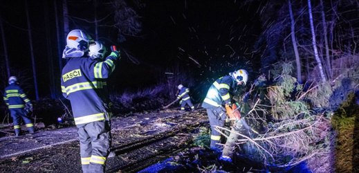 Na snímku hasiči odklízejí popadané stromy v okolí Nového Města nad Metují.