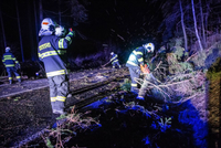Na snímku hasiči odklízejí popadané stromy v okolí Nového Města nad Metují.
