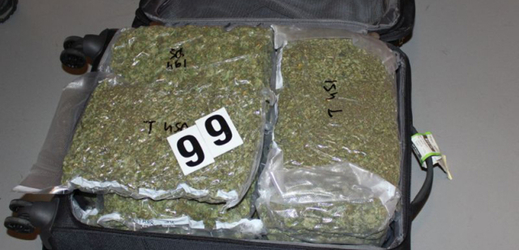 Část drog zajištěných při domovních prohlídkách v rámci operace. 