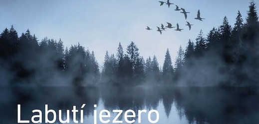 Plakát k baletu Labutí jezero.