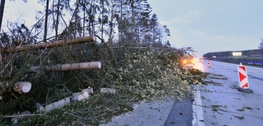 Spadané stromy na D1.