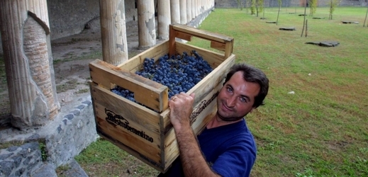 Italské vinohrady jsou dražší než ostrovy v karibské oblasti.