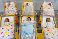 Novorozenci v nemocnici. 