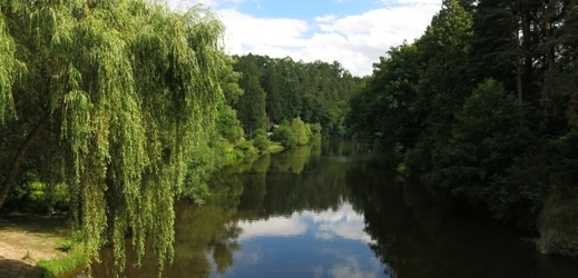 Řeka Malše.