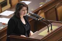 Ministryně práce a sociálních věcí Jana Maláčová na schůzi Sněmovny.