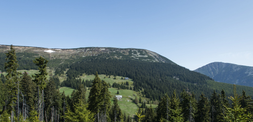Velké sněhové pole ještě zůstává na úbočí Studniční hory. Vpravo je k vidění Sněžka. 