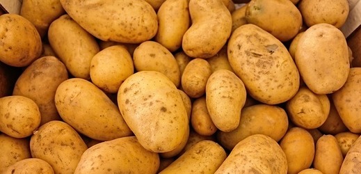 V zemědělství se zvýšily ceny brambor, a to téměř o polovinu.