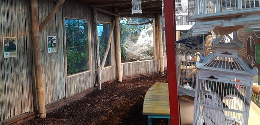 Pavilon tropů liberecké zoo je po rekonstrukci za půl milionu korun atraktivnější. 