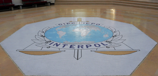 Obrázek vstupní síně Interpolu v Lyonu.