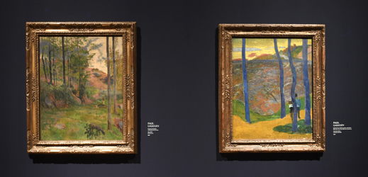 Snímek z výstavy Francouzský impresionismus.