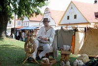 Selské slavnosti v Holašovicích patří na Českobudějovicku mezi tradiční akce.