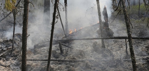 Sibiř se potýká s rozsáhlými požáry lesů.