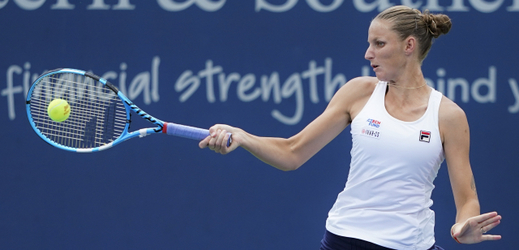 Česká tenistka Karolína Plíšková nakonec do semifinále neproklouzla.