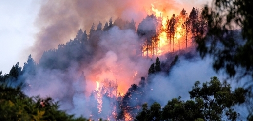 Lesní požár na Gran Canaria.