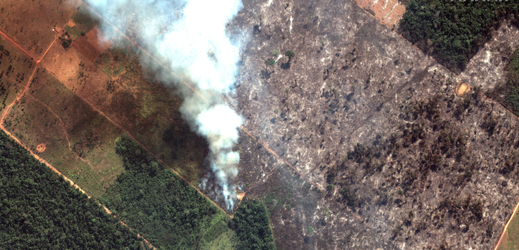 Požáry v Amazonii.