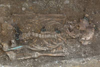 Archeologové odkryli v Uherském Brodě na Uherskohradišťsku unikátní hrob velmože z římského období.