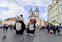 Obří panda a Krteček na Staroměstském náměstí v Praze.