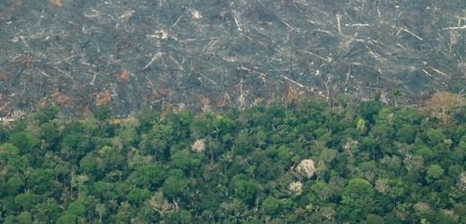 Amazonský deštný prales.