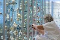 Pracovnice Muzea skla a bižuterie v Jablonci nad Nisou instaluje 19. listopadu 2019 výstavu současných českých vánočních ozdob.
