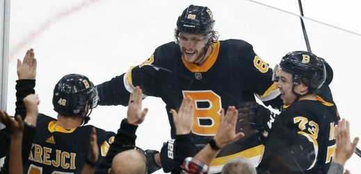Radost Bostonu Bruins. 