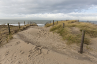 Písečné duny na pobřeží Severního moře u města Katwijk v nizozemské provincii Jižní Holandsko.