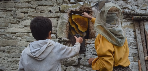 Snímek z filmu Země medu.
