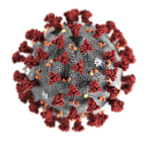 Molekula koronaviru pod mikroskopem.