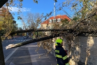 Silný vítr lámal stromy (Praha 21. 10. 2021).