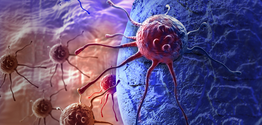 Rakovinové buňky (ilustrační foto).