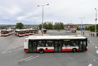 Autobusy dopravního podniku hlavního města Prahy (ilustrační foto).