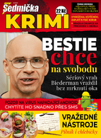 Sedmička Krimi