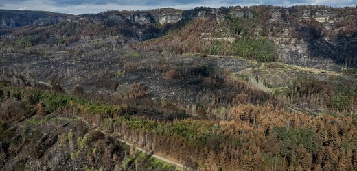 Národní park České Švýcarsko po rozsáhlém požáru (ilustrační foto).